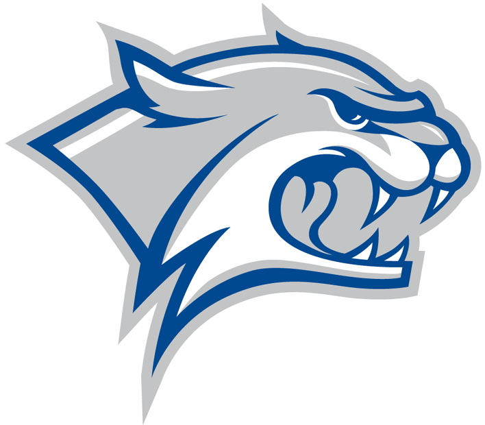 New Hampshire Wildcats 2000-Pres Partial Logo t shirts iron on transfers